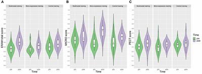 Training Emotion Recognition Accuracy: Results for Multimodal Expressions and Facial Micro Expressions